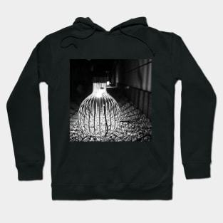 Photography - Follow the light Hoodie